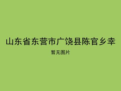 山东省东营市广饶县陈官乡幸