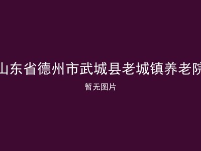 山东省德州市武城县老城镇养老院