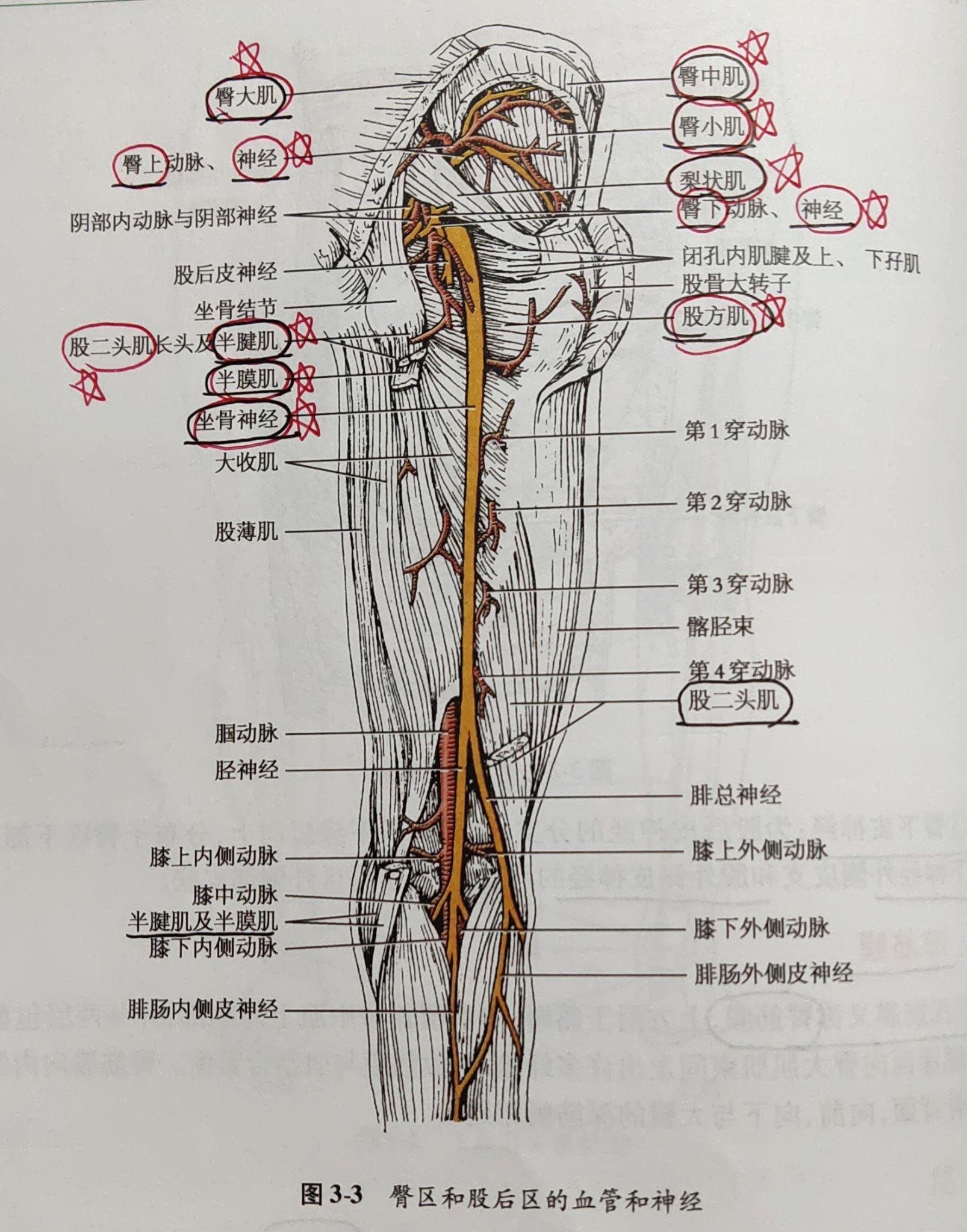 山东省泰安市宁阳县东庄乡敬老院
