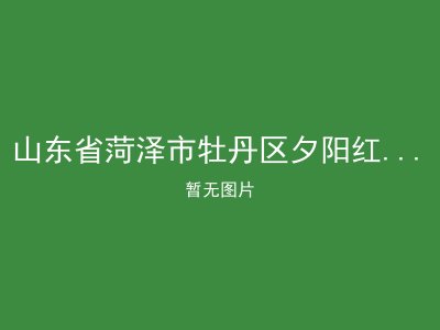 山东省菏泽市牡丹区夕阳红老年公寓
