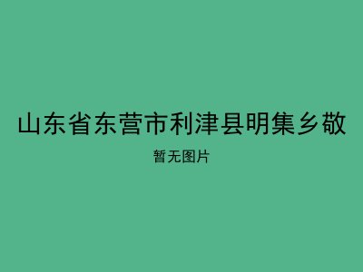 山东省东营市利津县明集乡敬