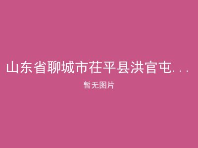 山东省聊城市茌平县洪官屯乡敬老院