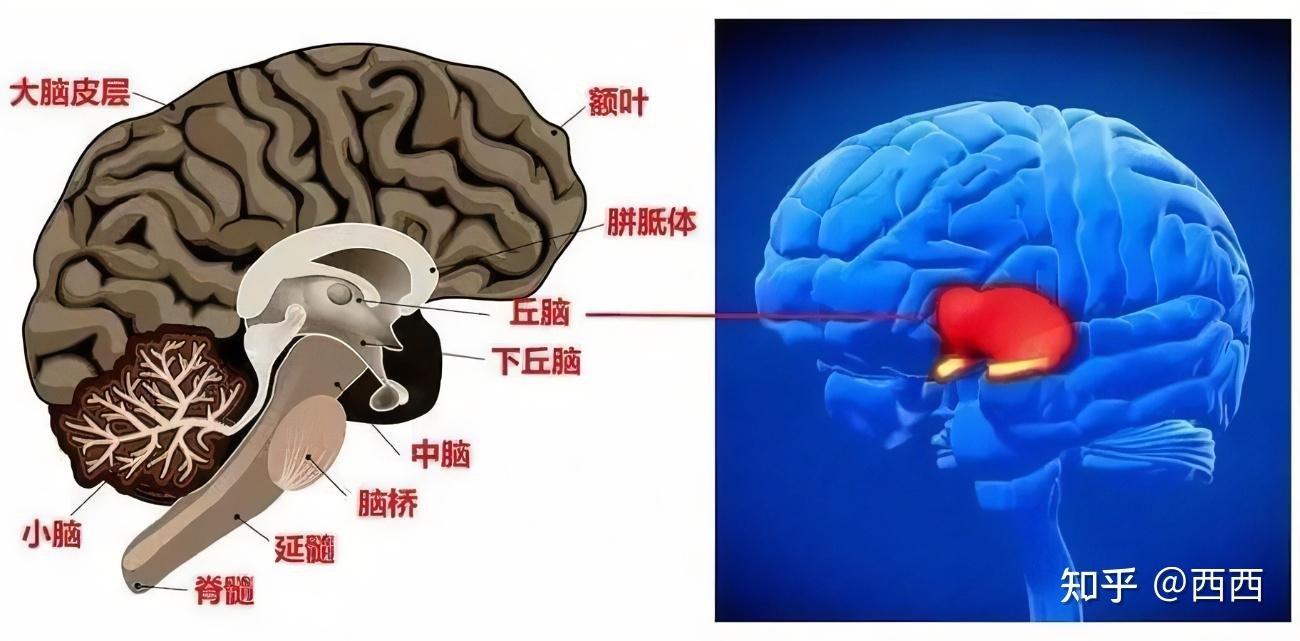 山东省泰安市肥城市孙伯镇敬老院