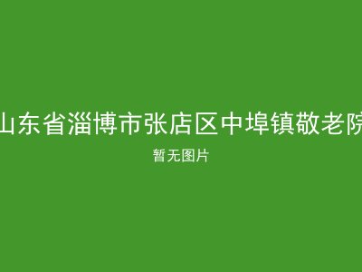 山东省淄博市张店区中埠镇敬老院