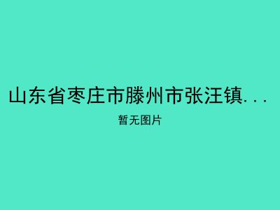 山东省枣庄市滕州市张汪镇大宗村敬老院