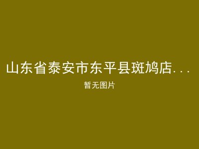 山东省泰安市东平县斑鸠店镇敬老院