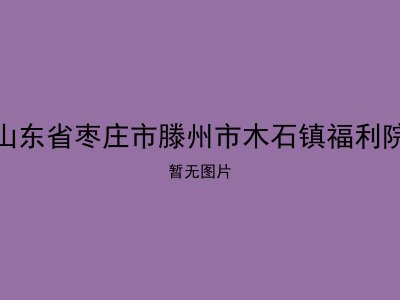 山东省枣庄市滕州市木石镇福利院