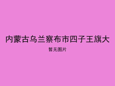内蒙古乌兰察布市四子王旗大