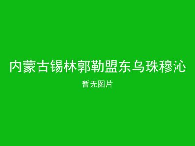 内蒙古锡林郭勒盟东乌珠穆沁