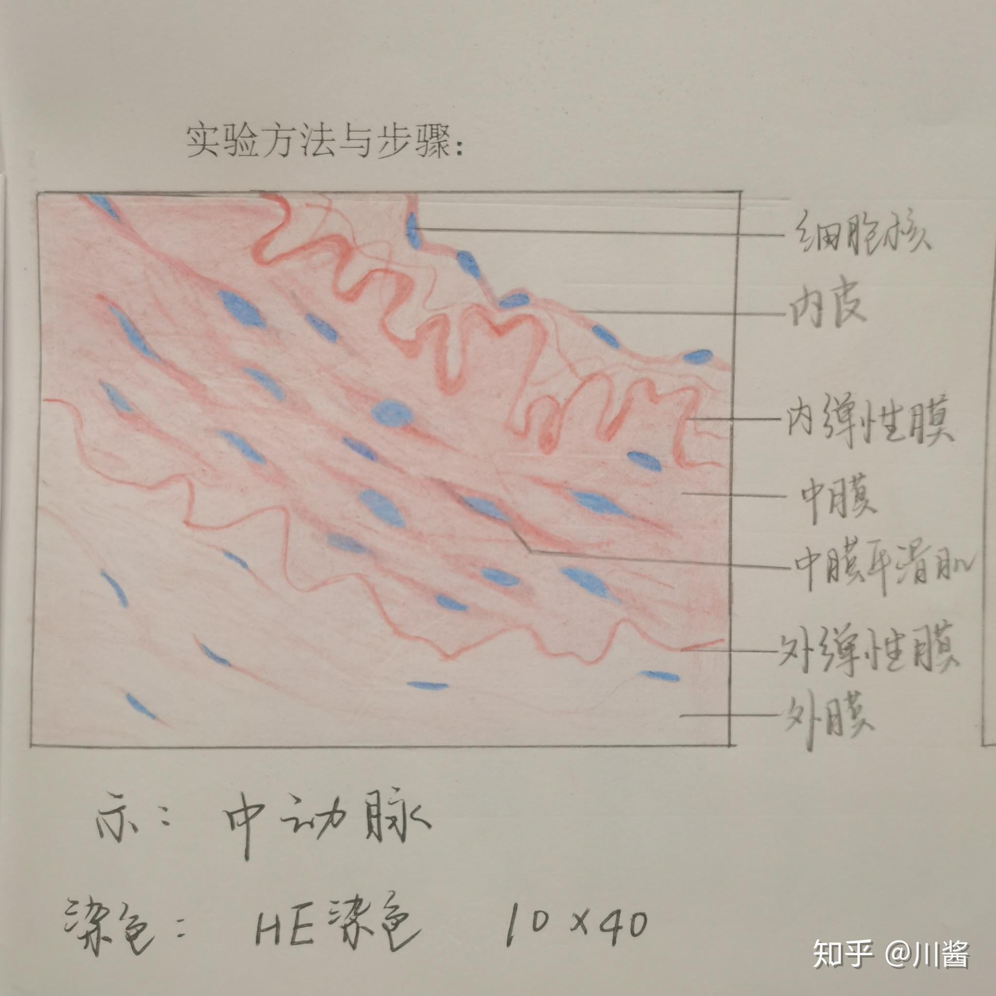 辽宁省本溪市明山区重阳托老院