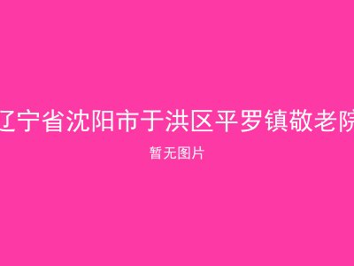 辽宁省沈阳市于洪区平罗镇敬老院