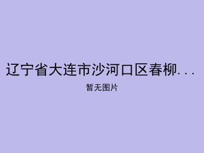 辽宁省大连市沙河口区春柳托老二所