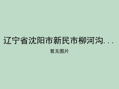 辽宁省沈阳市新民市柳河沟乡敬老院