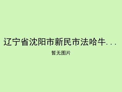 辽宁省沈阳市新民市法哈牛镇敬老院