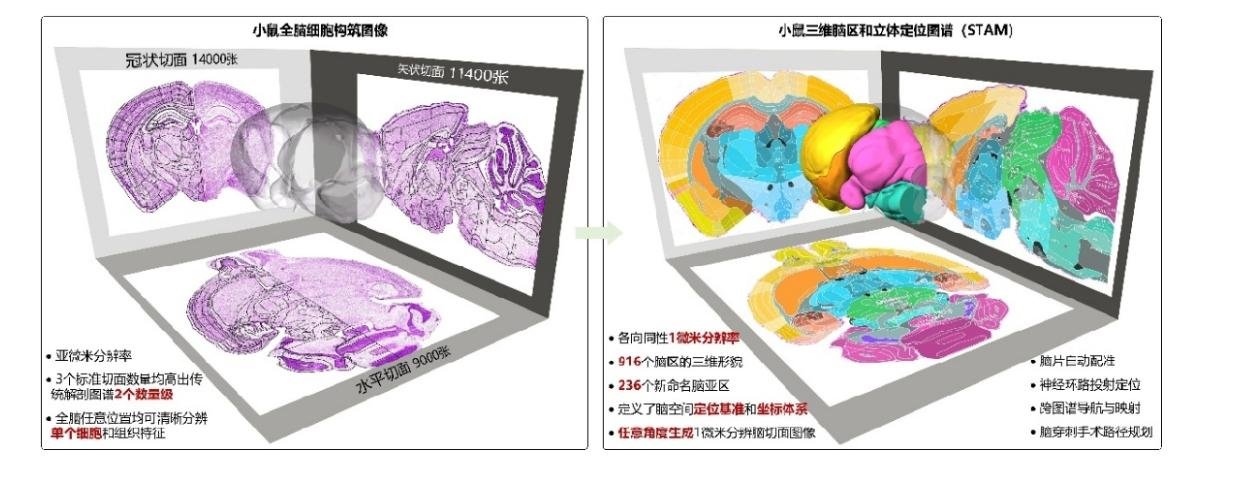 辽宁省大连市沙河口区南沙街道托老二所