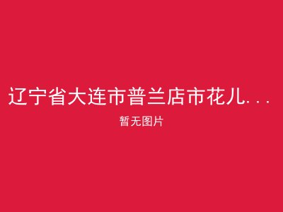 辽宁省大连市普兰店市花儿山乡敬老院