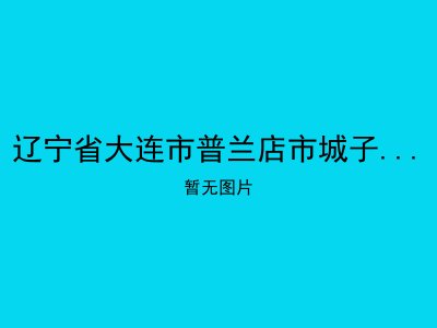 辽宁省大连市普兰店市城子坦镇敬老院