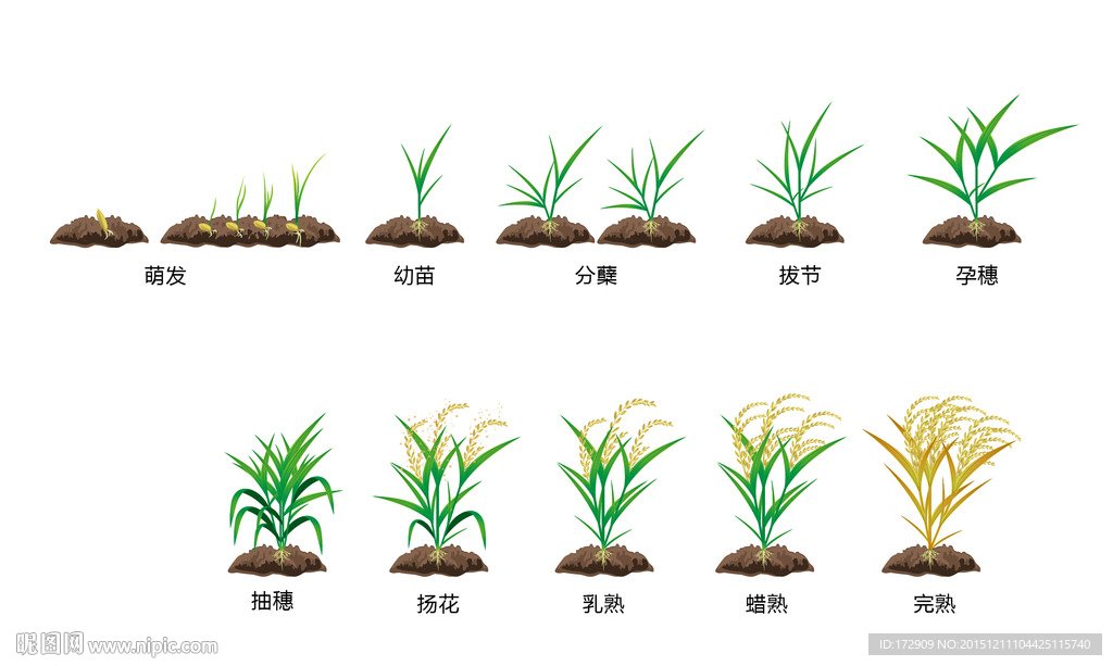 辽宁省大连市中山区大连市养老院