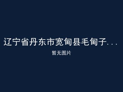 辽宁省丹东市宽甸县毛甸子镇敬老院