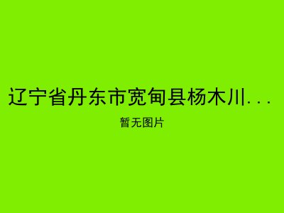 辽宁省丹东市宽甸县杨木川镇敬老院