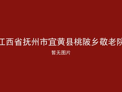 江西省抚州市宜黄县桃陂乡敬老院