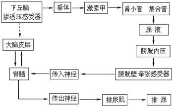 江西省宜春市袁州区社会福利院