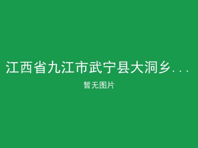 江西省九江市武宁县大洞乡彭坪敬老院