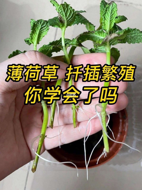 江西省九江市武宁县横路乡株林敬老院
