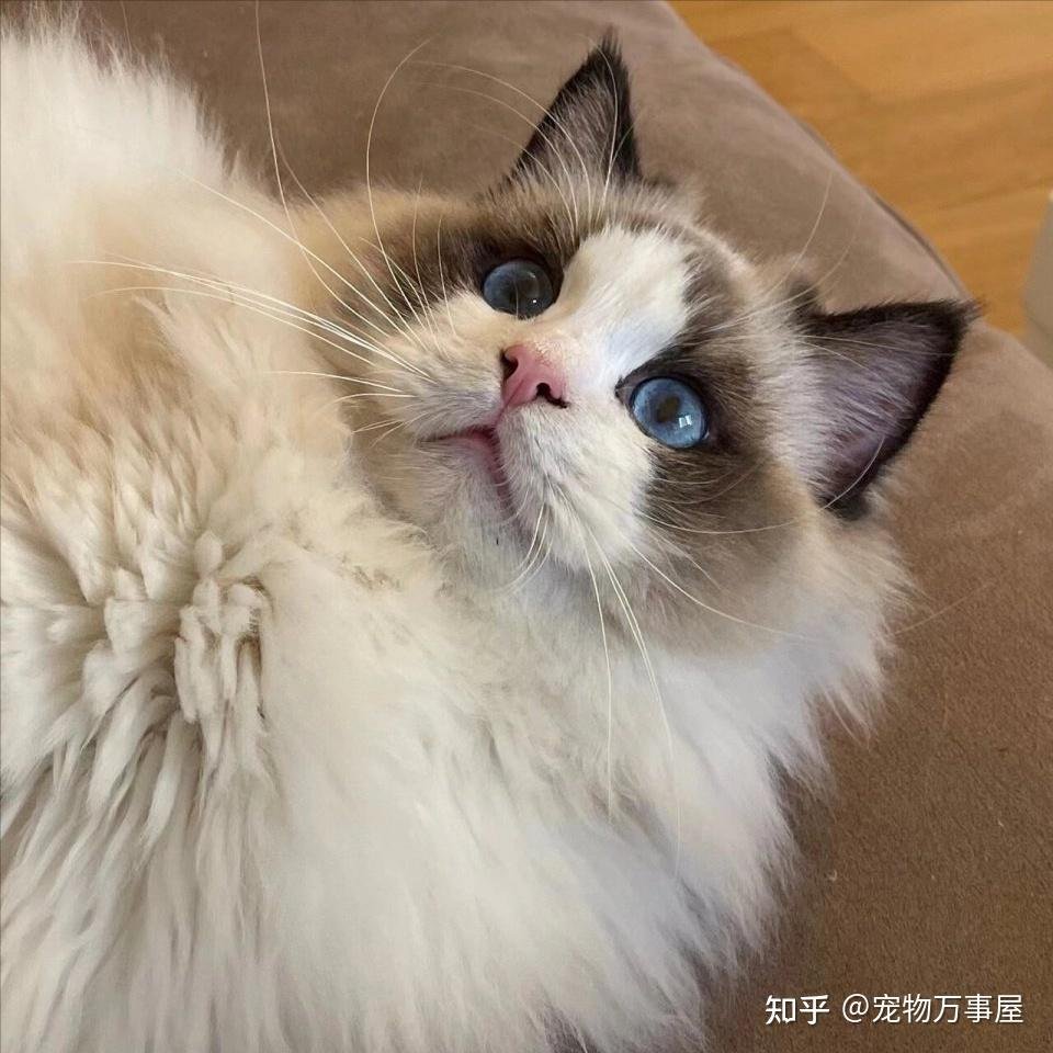 江苏省扬州市江都市嘶马镇敬