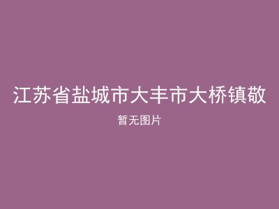 江苏省盐城市大丰市大桥镇敬