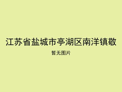 江苏省盐城市亭湖区南洋镇敬