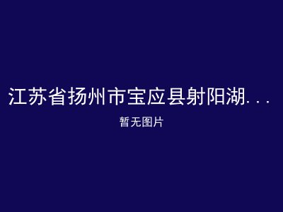 江苏省扬州市宝应县射阳湖镇社会福利院