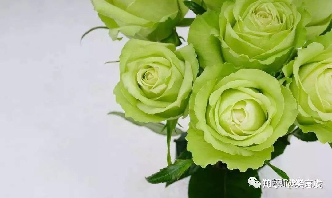 江苏省盐城市响水县运河乡幸福院