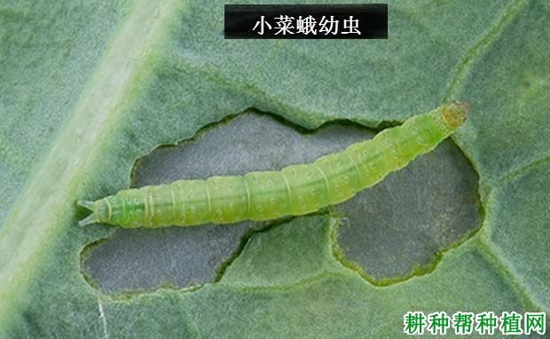 江苏省南通市如东县丰利镇敬老院