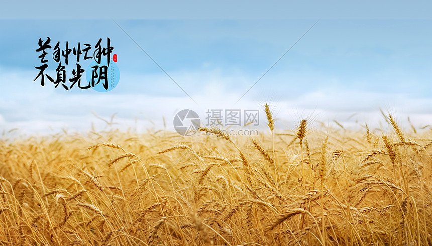 江苏省南通市通州区新开镇居家养老服务站6