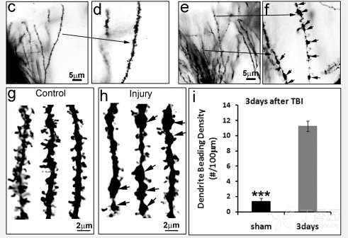 江苏省盐城市射阳县千秋镇敬老院