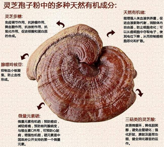 江苏省南通市海门市德胜镇敬老院