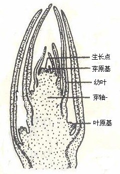 江苏省南京市溧水县石湫镇敬老院