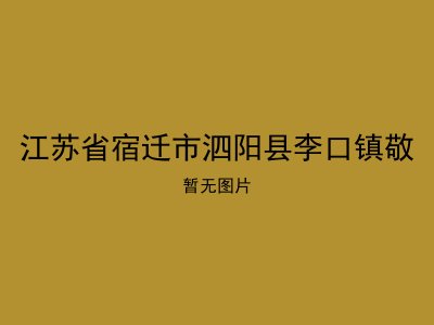 江苏省宿迁市泗阳县李口镇敬