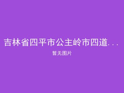 吉林省四平市公主岭市四道岗乡敬老院