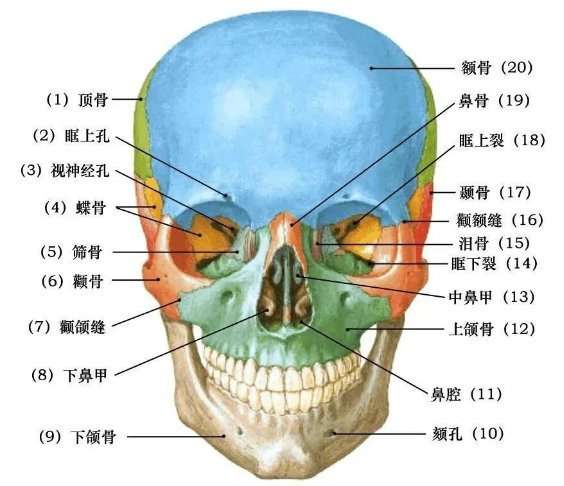 吉林省吉林市船营区比家好老人院