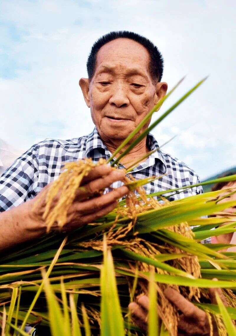 吉林省吉林市丰满区幸福养老所