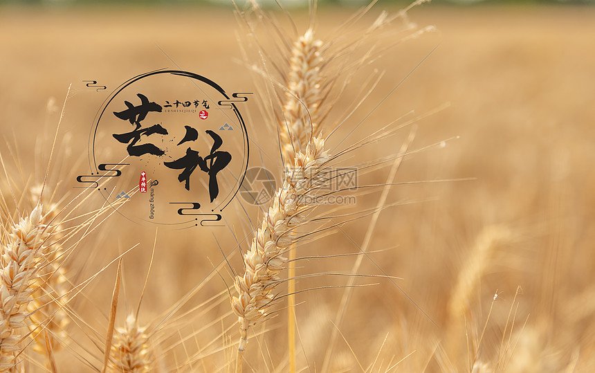 吉林省四平市双辽市兰英养老院