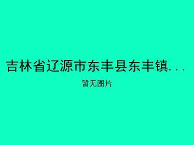 吉林省辽源市东丰县东丰镇老年公寓