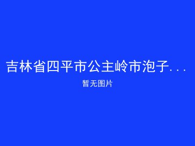 吉林省四平市公主岭市泡子沿村福利院