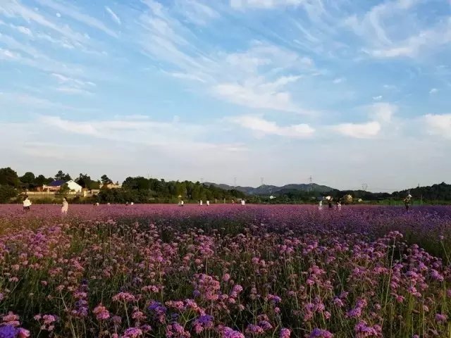 湖南省长沙市宁乡县夏铎铺镇敬老院
