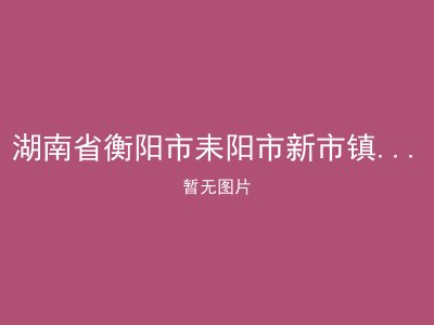 湖南省衡阳市耒阳市新市镇日升村敬老院