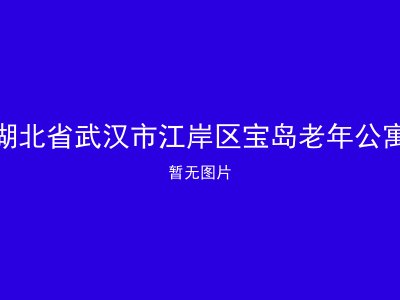 湖北省武汉市江岸区宝岛老年公寓