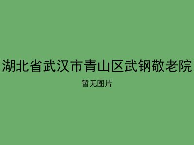 湖北省武汉市青山区武钢敬老院