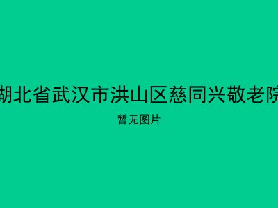 湖北省武汉市洪山区慈同兴敬老院
